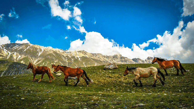 quanto valgono i parchi italiani