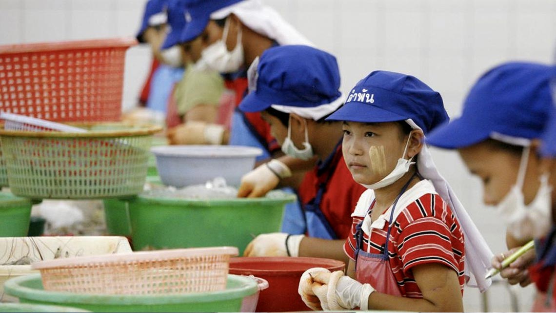 Gamberi e gamberetti, il cocktail è di disastri ambientali e schiavitù. Cina uno dei maggiori produttori