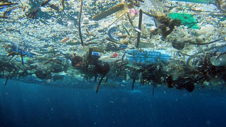 Pacific Trash Vortex. L'isola di plastica nel Pacifico: peso e misura