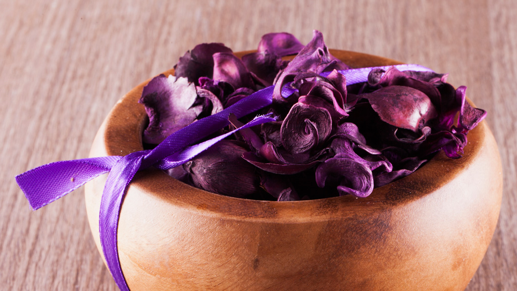 Pot pourri di fiori e piante