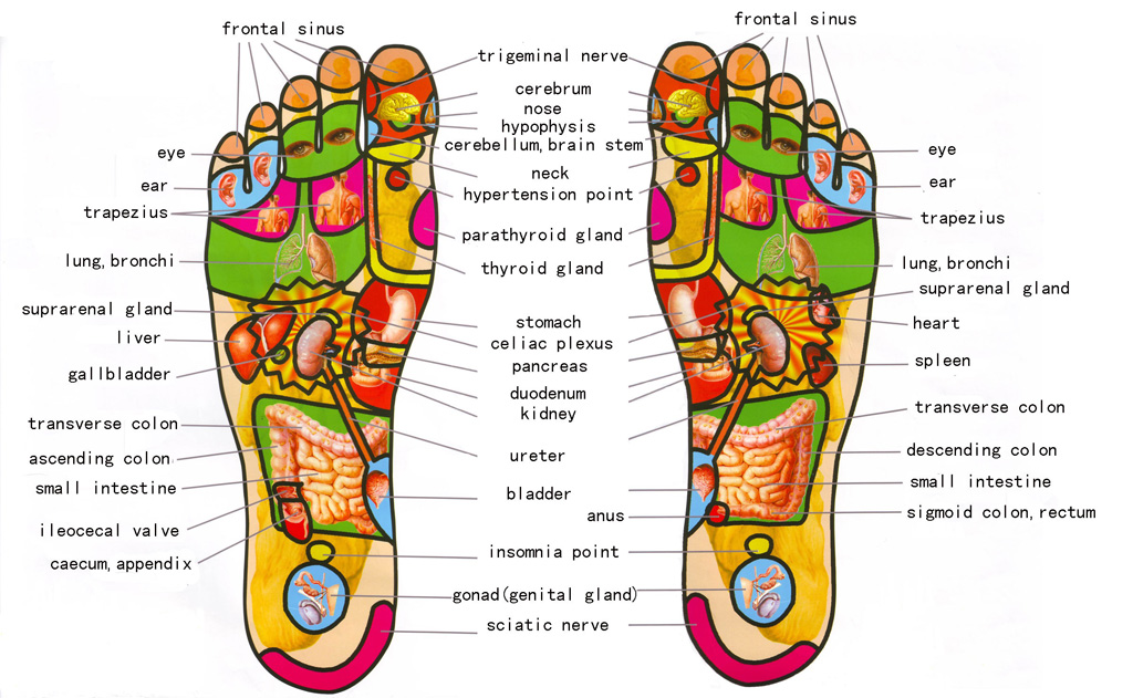 Riflessologia plantare in 10 punti LifeGate Riflessologia plantare in 10 punti LifeGate
