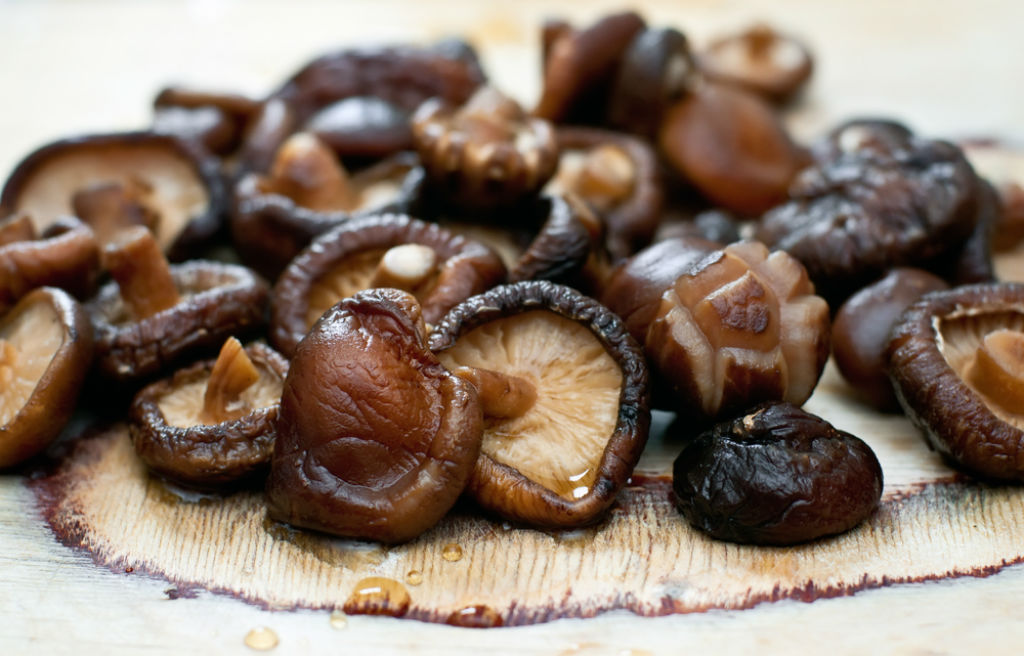 Fungo Shiitake, elisir di lunga vita tutto su benefici, ricette e
