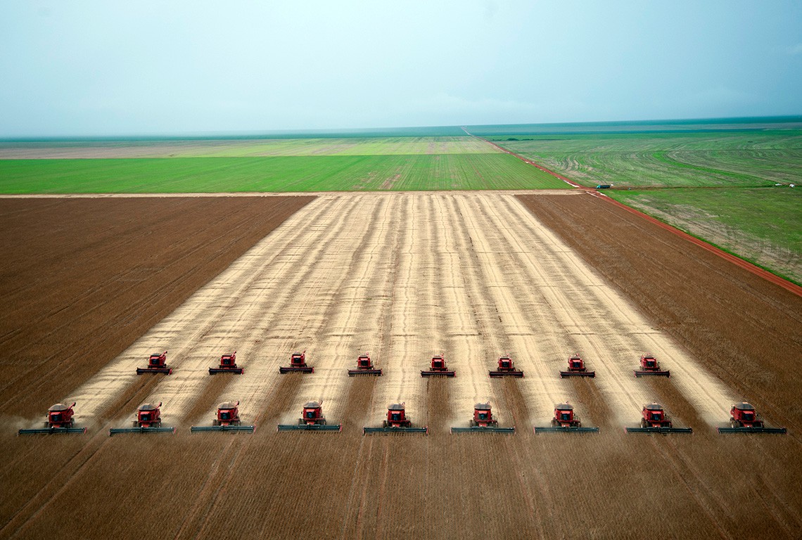 trattori e soia, in brasile, land grabbing