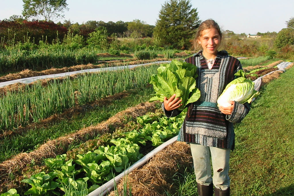 Risultati immagini per l'agricoltura biologica